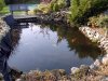 Teich.jpg