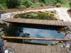 Teich11.jpg