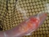DSC00632.JPG
