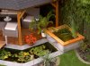 PICT3482 [640x480].JPG