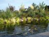 Teich2.JPG