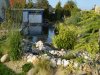 Teich5.JPG