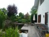 Teich 3.jpg