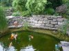 Teich2.jpg