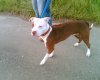 Bild_0171.jpg