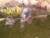15. märz 2011 008.jpg