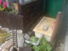 DSC00046.JPG
