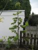 Gartengestalltung 002.JPG