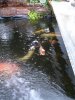 unsere paddler 10.1.2013 002.jpg