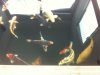 k-IMG_3734.JPG