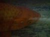 DSC004681.jpg