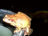 besuch 2.JPG