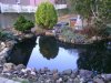 teich links.JPG