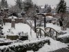 unser teich januar 2014 003.jpg
