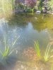 20200808_095756.jpg