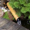 BambooReturn.JPG