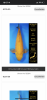 99364073-5EAA-4DD9-A076-5ECEE3AD2F8E.png