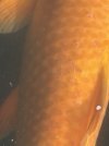 IMG_3569.jpeg