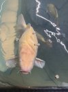 IMG_7197.jpeg