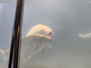 IMG_7273.jpeg