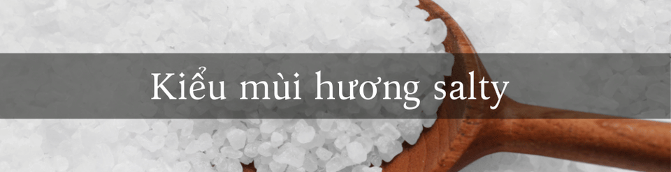 kieu-mui-huong-salty.png