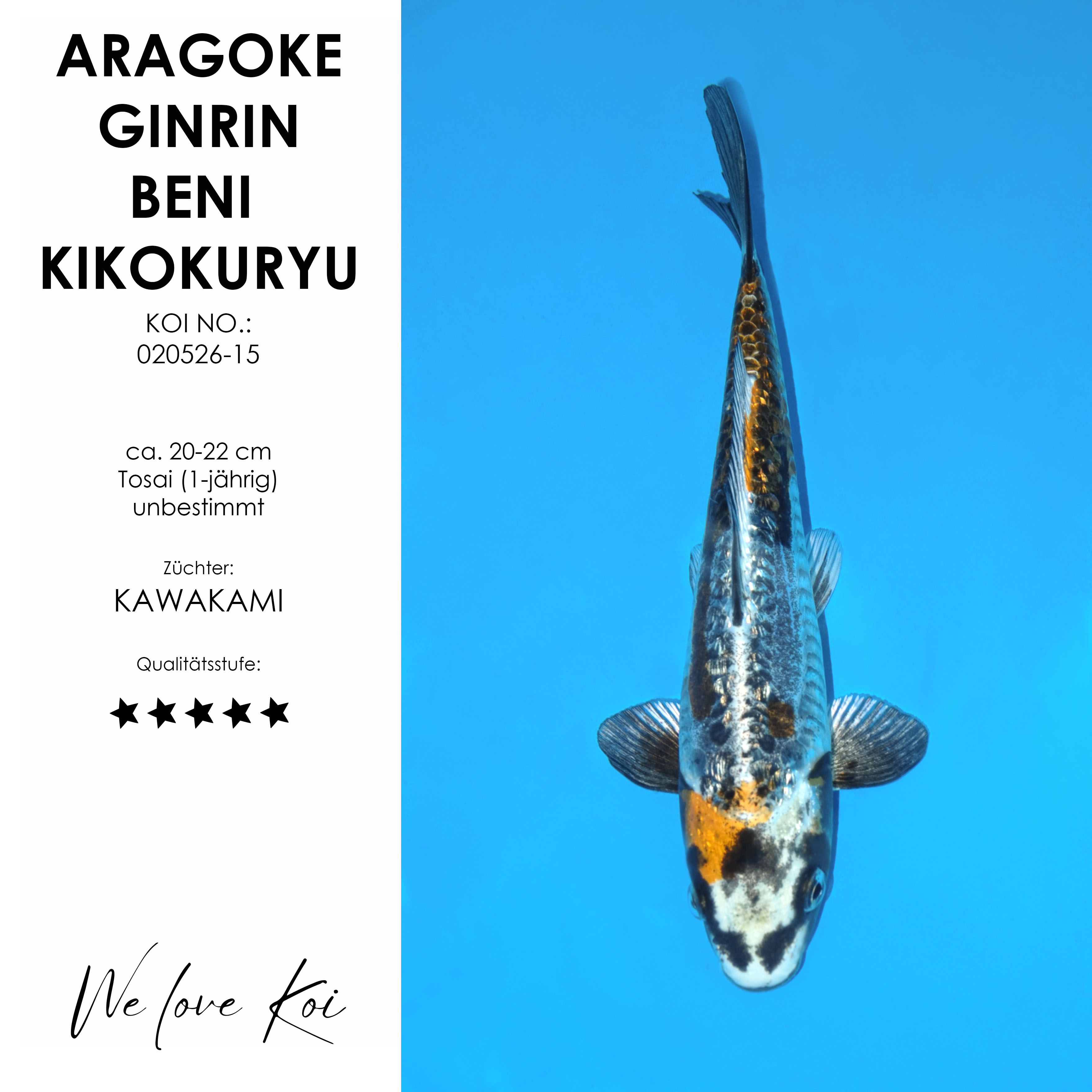 www.japankoi-shop.de