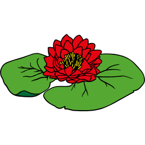 wasserpflanzen-krause.de