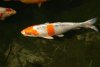DSC02587.jpg