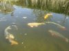 DSC01245.JPG