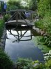 unser teich 8 juli 2010 008.jpg