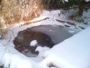 unser teich im winter 2010-2011 (3).jpg