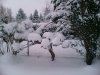 winter dezember 2010 056.jpg