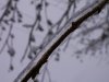 grrrrrbrrr 003.JPG