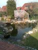 Unser Teich.jpg