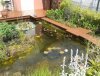 2011-06-12 14.19.31.jpg