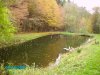 Weiher..JPG