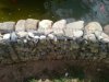 teich 200 001.jpg