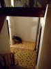 DSCF5241.JPG