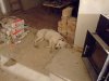 DSCF5239.JPG