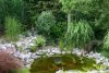 Teich 05.jpg