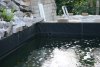 Teich 90.JPG
