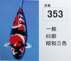 353.jpg