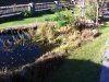 IMG_1312.jpg