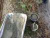 IMG_1106.jpg