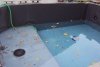 DSC01212a.jpg