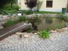 teich.jpg