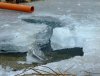 DSCF6704.JPG