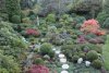 garten neuKL.jpg