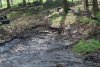 gartenaltKL.jpg