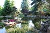 teich3.jpg